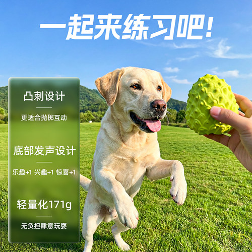 迦刺刺磨牙洁齿天然橡胶球
