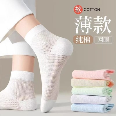 新款女士夏季纯色薄款短袜网眼