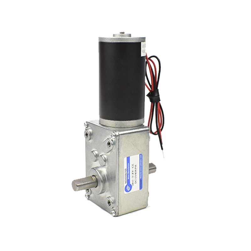 5840-31ZYS微型涡轮蜗杆直流减速电机 低速调速小马达12v24v双轴