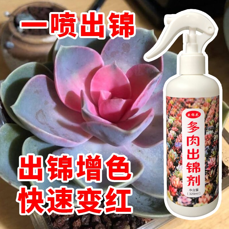 金枝玉叶出锦药专用增红变色剂多肉增色变红免稀释营养液