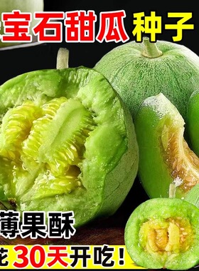 冰糖绿宝石甜瓜种子甜脆青皮薄皮香瓜籽四季庭院阳台盆栽水果种子