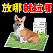 德国工艺狗狗尿垫引导上厕所靶心诱导小狗定点宠物隔尿除臭味加厚