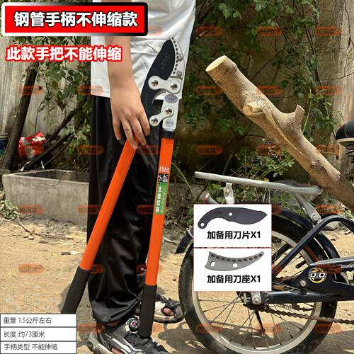 剪树枝进口修枝剪果树园艺园林大力剪竹子花粗枝钳子电大号剪刀动