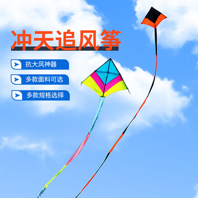 追风者新款冲天追风筝软伞布碳杆成人大型高档风S筝带尾巴大风放