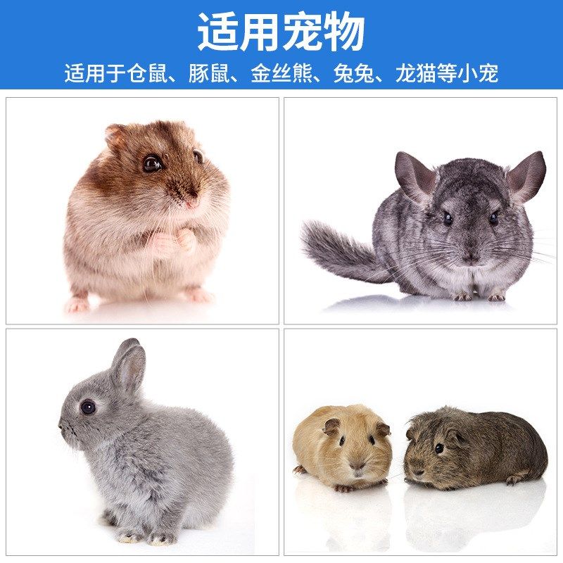 仓鼠冰垫凉席防中暑用品夏季降温垫兔子夏天降温神器宠物解暑冰床,宠物/宠物食品及用品,散热板,淘宝优惠券,粉丝福利购,淘宝优惠卷