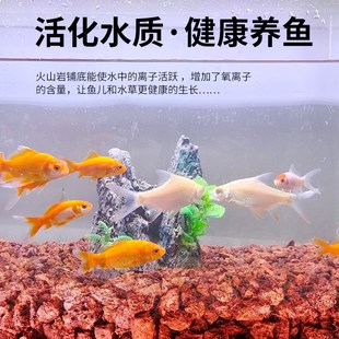 精洗天然红火山石鱼缸造景底砂垫底石头水族过滤材装饰沙子