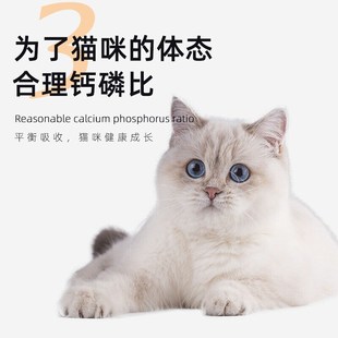 亿迪3号猫鱼肉味全价猫粮成猫幼猫老年猫通用型猫咪主粮10斤