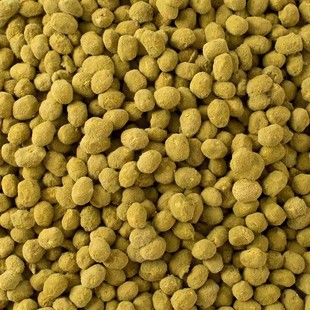 正宗 自然发酵霉黄豆霉豆子霉大豆捂豆子捂黄豆可做西瓜酱黄豆酱