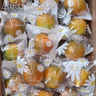 新鲜 薄无籽滑皮脆皮孕妇童 广西融安金桔匠心极超甜独立糖果包装