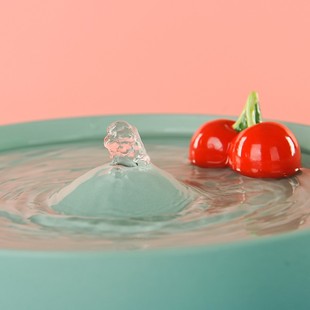 猫咪饮水机循环过滤流动水碗狗狗猫用自动喂水喝水器陶Y瓷宠物用