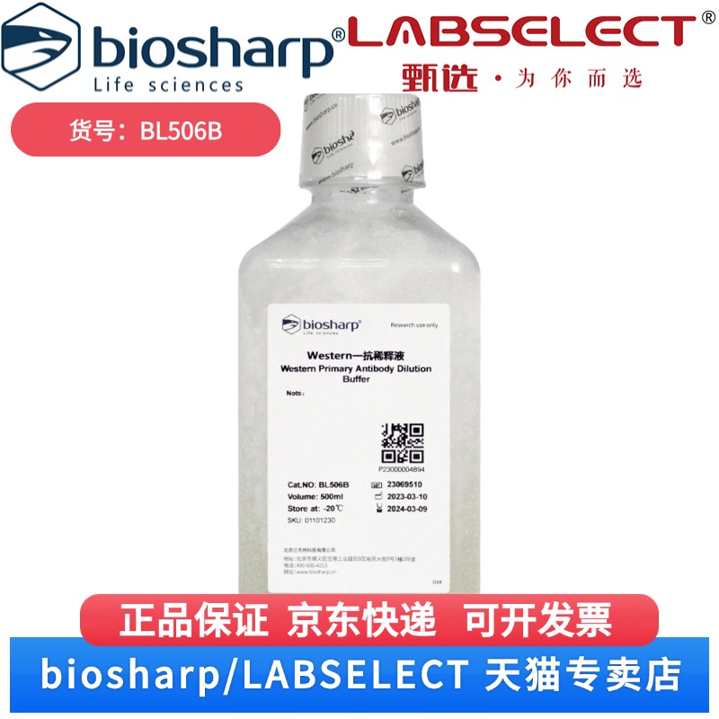 现货 Western一抗稀释液 BL506B 500ml/瓶，12瓶/箱 Biosharp/白鲨 科研实验