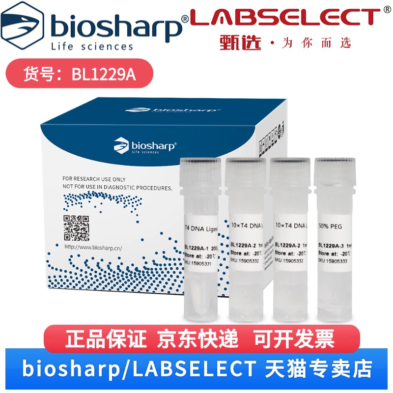 现货 T4 DNA连接酶 BL1229A 1000U Biosharp/白鲨 科研实验
