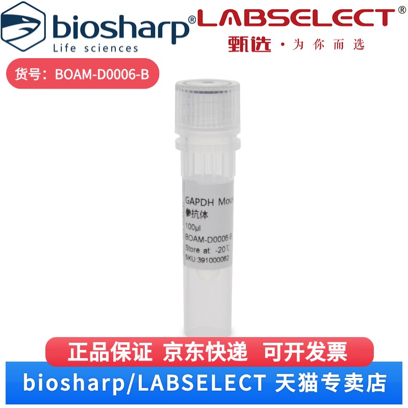 现货 GAPDH Mouse Monoclonal 内参抗体 BOAM-D0006-B 100μl Biosharp/白鲨 科研实验