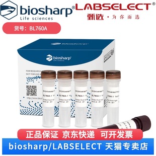 通用型探针法荧光定量PCR试剂盒 5x1ml 现货 BL760A 科研实验 Biosharp 白鲨