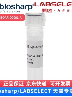现货  β-Actin Rabbit Polyclonal 内参抗体  BOAR-D0001-A 50ul Biosharp/白鲨 科研实验