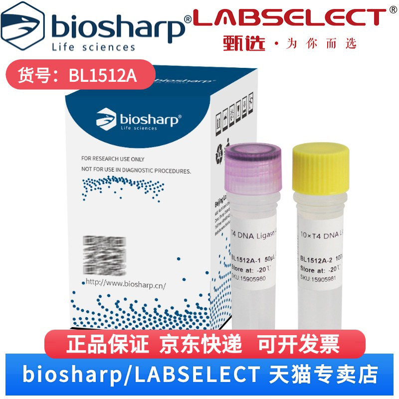 现货 T4 DNA连接酶(400 U/µL) BL1512A 20000U Biosharp/白鲨 科研实验