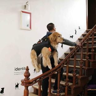 大狗宠物双肩背包工作犬携行老年CHD中大型犬担架手提助行犬背包