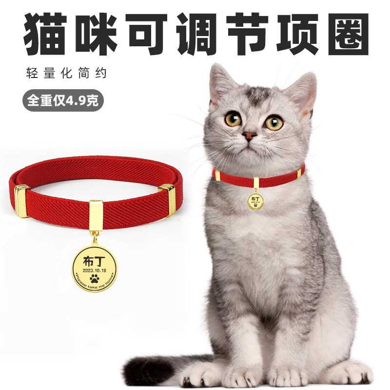 猫咪项圈大小松紧可调防丢猫牌小型犬狗牌可定制刻字猫圈身份牌