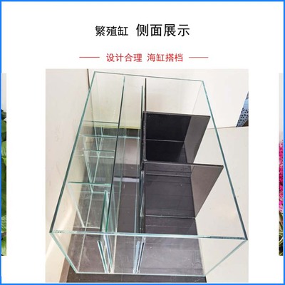 小丑繁殖缸/海i缸背滤/小型海水缸/ 金晶超白/珊瑚小丑鱼/水族箱