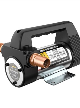 正反转电动抽油泵12V24Vv220V伏自吸泵油泵直流柴油泵加油机抽油