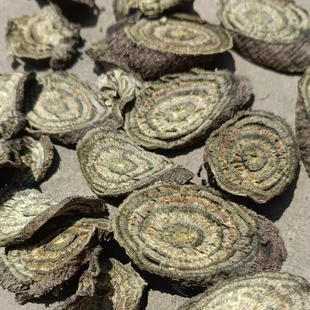 四川野生中药材油麻藤 牛马藤 大血藤 晒干棉麻藤干片500g包邮