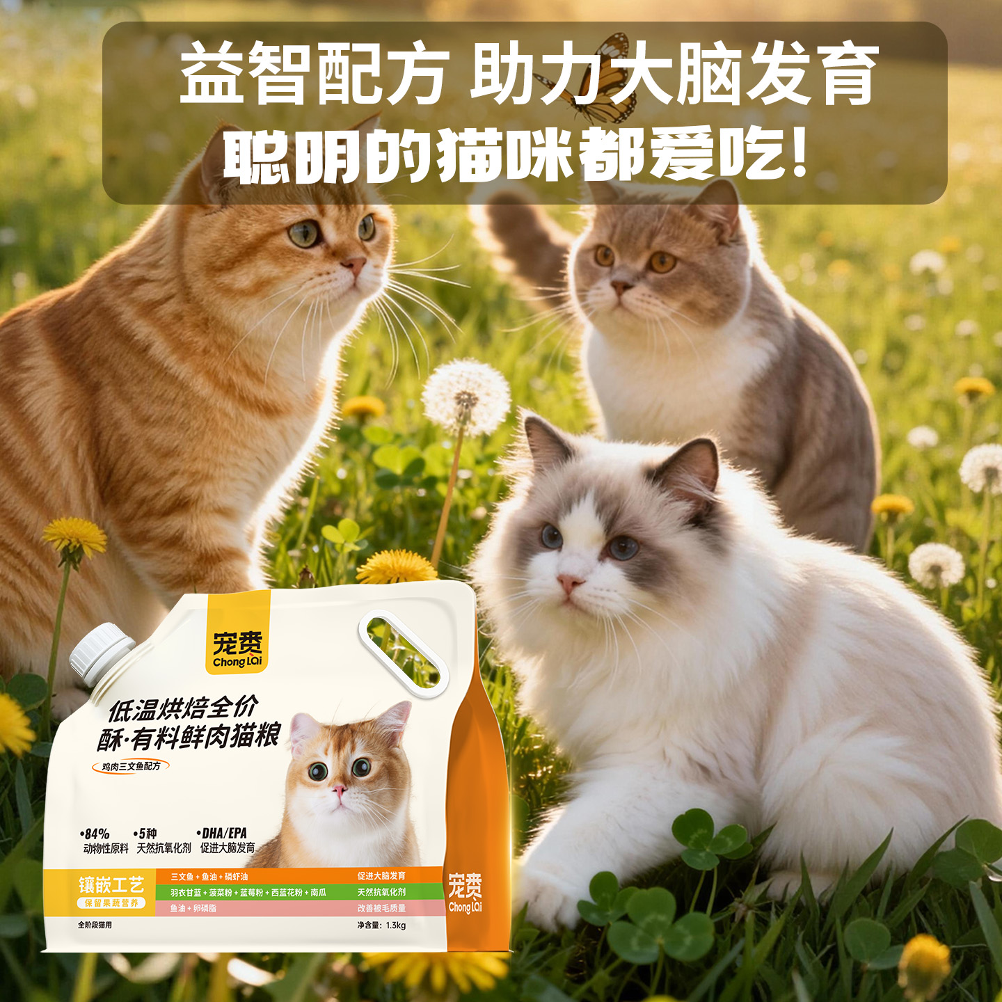 宠赉鸡肉三文鱼鲜肉烘焙猫粮试吃