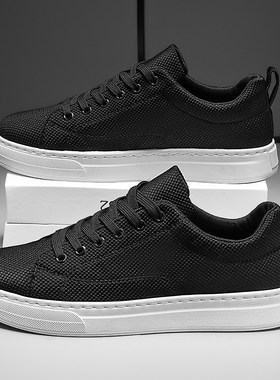 男鞋秋季透气2024新r款布鞋男款休闲帆布板鞋男士纯黑色鞋子男单