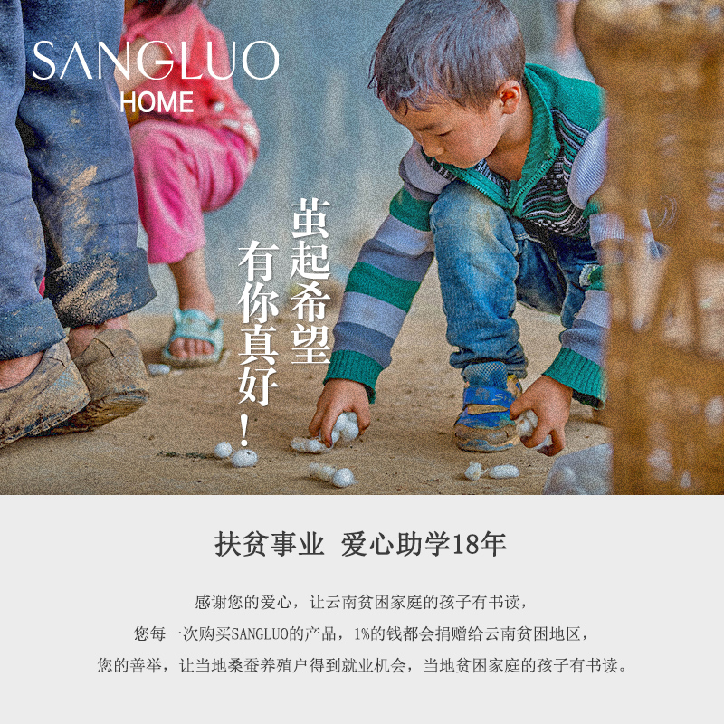 SANGLUO桑罗真丝枕套护发美容枕套结婚定制双面6A级桑蚕丝枕头套