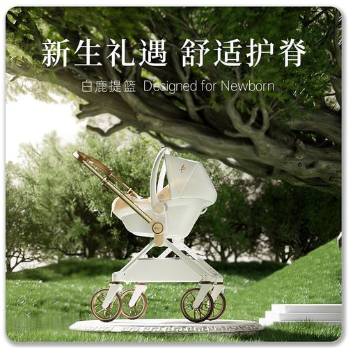 qborn白鹿专属新生婴儿外出车载提篮儿童安全座椅便携式摇篮