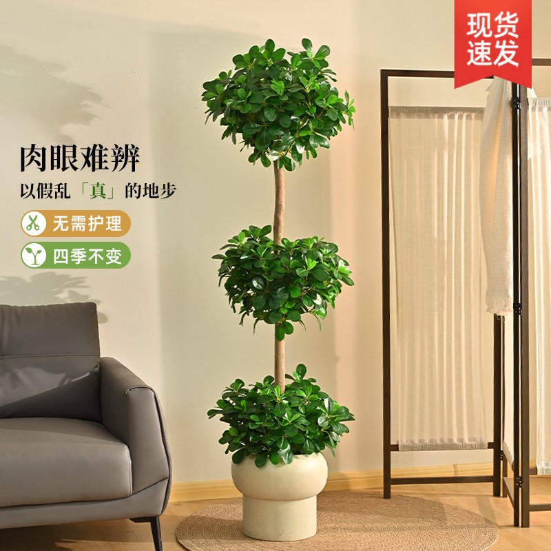 仿真绿植造景金钱树n室内客厅高级感装饰摆件仿生绿色植物落地盆