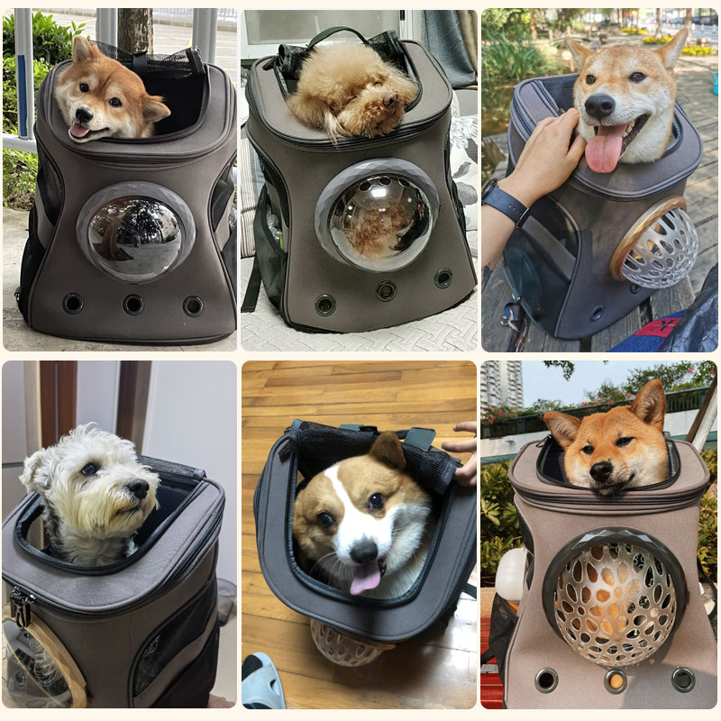 大容量狗狗背包宠物外出便携装柯基柴犬法斗缅因书包猫包透气大号
