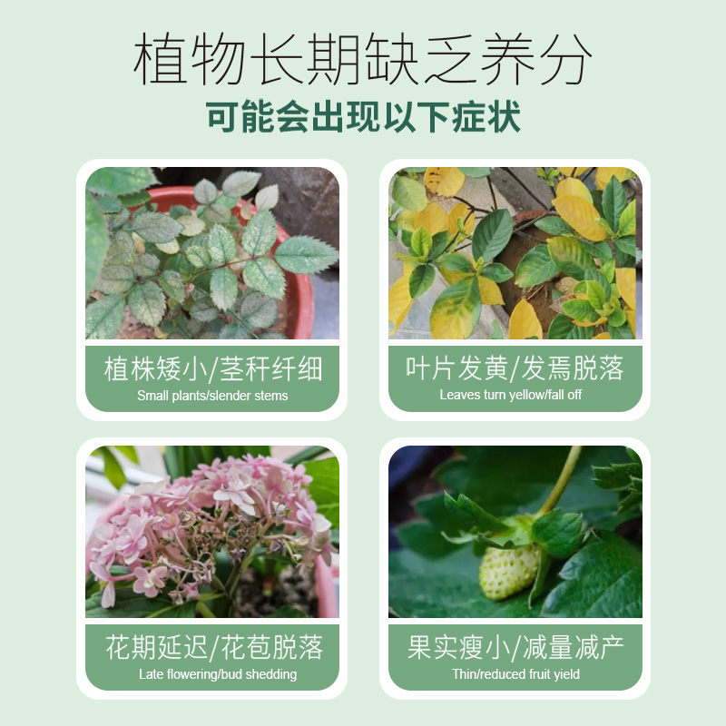 花肥谷罐装缓释肥花卉绿植多肉盆栽通用型氮磷钾营养颗粒控释肥料