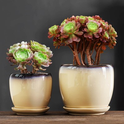 复古黑法师专用花盆老桩大口径透气圆形高盆家用多肉绿植粗陶带托