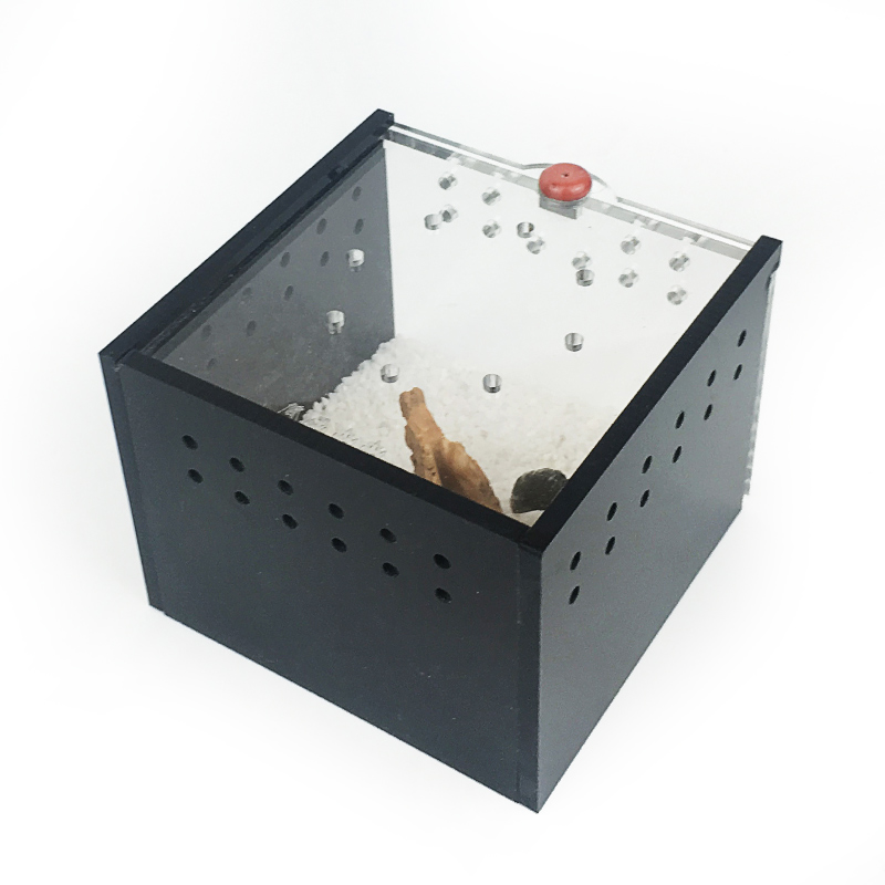 蜘蛛饲养盒迷你爬虫盒小爬宠盒养蝎子独角仙甲虫专业黑色亚克力盒