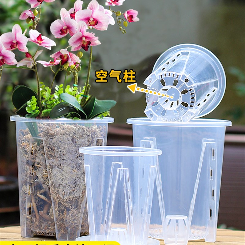 2023新款控根蝴蝶兰花盆塑料透气海芋花烛蔓绿绒镂空青山花盆