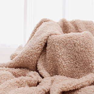 阿尔泰毛绒布料加厚颗粒绒大泰迪圈圈绒羊圈毛羊羔绒服装手工面料