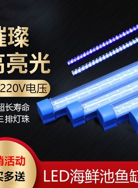 220V-海鲜池鱼缸LED照明灯节能防水方管蓝色外壳PVC管道配件灯光