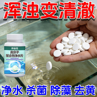 鱼缸高分子化合物净水片去除鱼缸异味净化水质去除腥味鱼缸专用