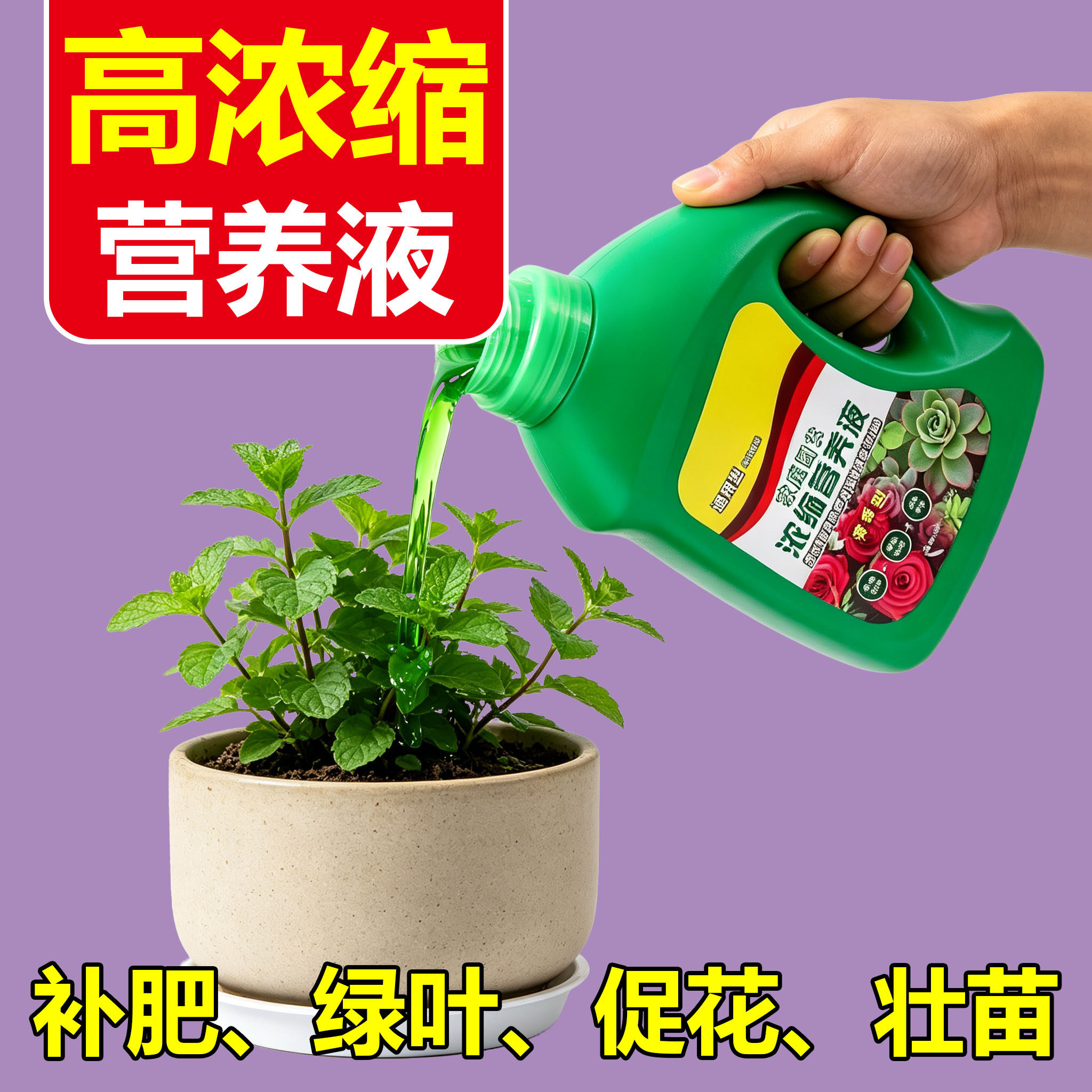 营养液植物通用型绿萝富贵竹发财树多肉水培养花卉绿植盆栽花肥料