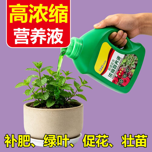 营养液植物通用型绿萝富贵竹发财树多肉水培养花卉绿植盆栽花肥料