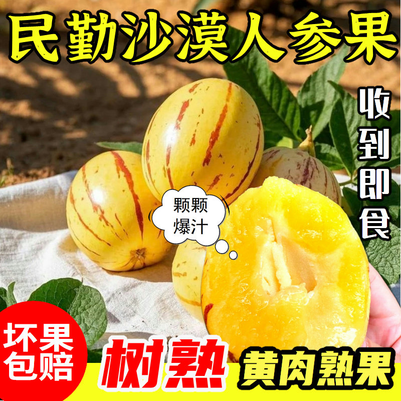 甘肃民勤人参果长果新鲜水果沙漠人参果黄果黄肉现摘现发整箱包邮