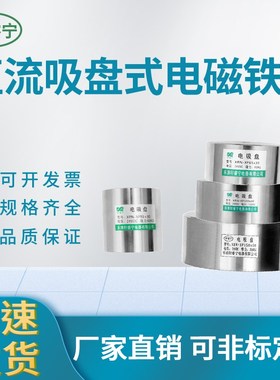 XRN直流电吸盘磁铁P39595选定制