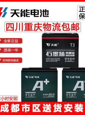 天能电动车电池 8H27222H黑金石墨烯三轮车