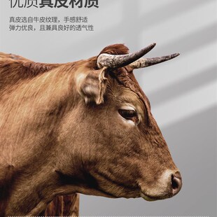 适用于大众朗逸脚垫全包围13/15/17/19/2021启航plus23款汽车专用