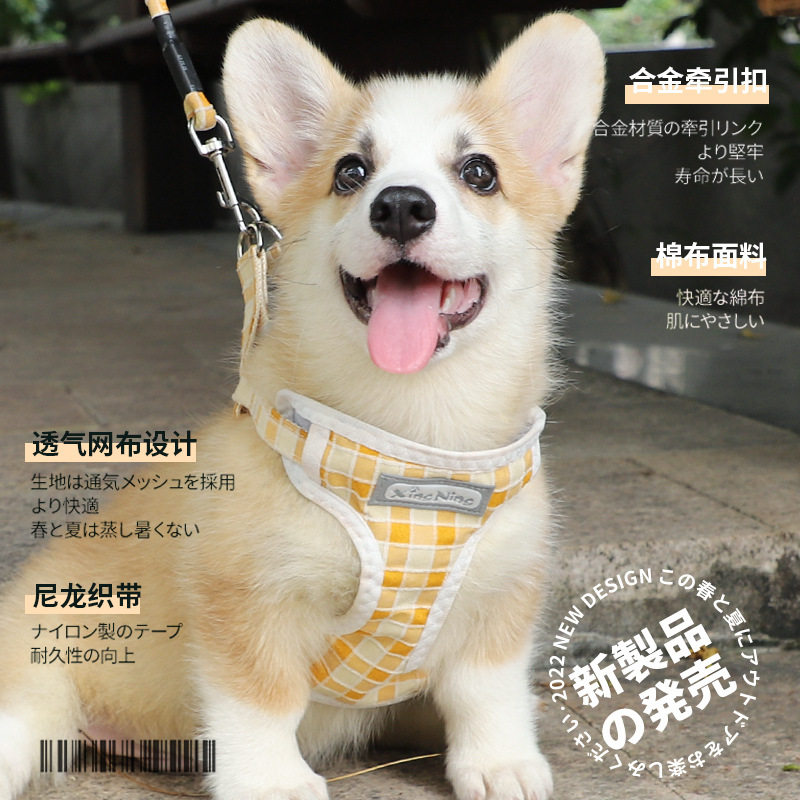 猫咪牵引绳狗狗背心式宠物胸背带遛猫绳防挣脱外出专用猫绳子用品