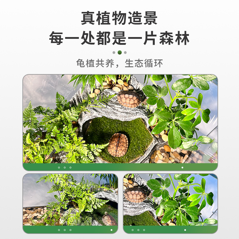 超白玻璃乌龟缸家用客厅生态龟缸乌龟专用缸小别墅带晒台饲养鱼缸