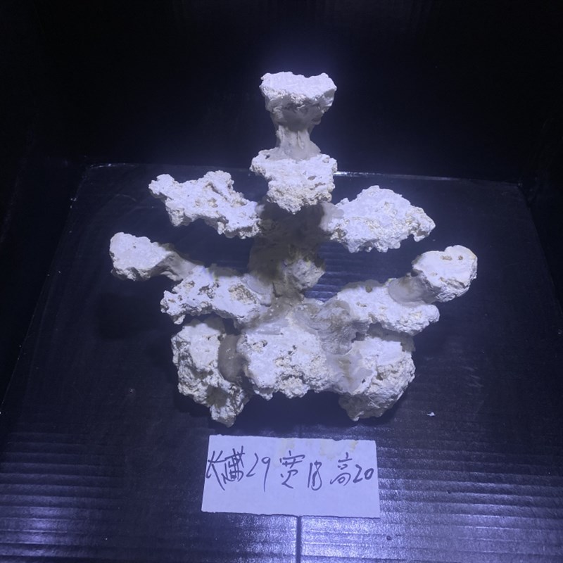 海缸造景爪哇石干岩石人造石免爆藻快速开缸淡海水珊瑚缸造景定制