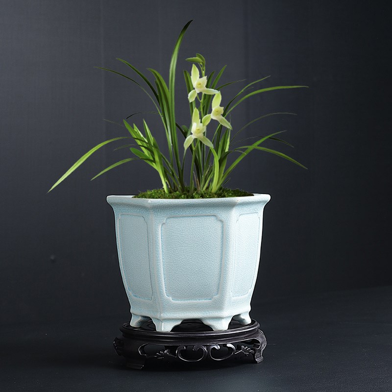 小盆景哥窑透气花盆桌面陶瓷小叶赤楠文竹紫砂盆创意蝴蝶兰绿植盆