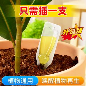 植界植物再生剂发财树月季兰花三角梅花卉绿植通用型浓缩型营养液