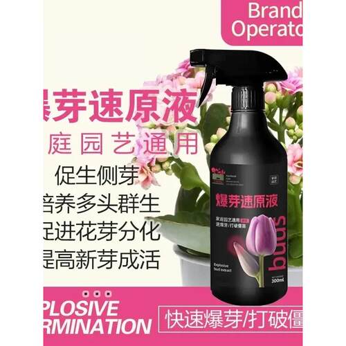 【爆芽速原液】多芽促芽分化叶插花植物花卉绿植三角梅兰花通用